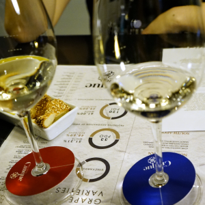 Travel in Greece - White Greek Wine Tasting (Cinque Wine & Deli Monastiraki)