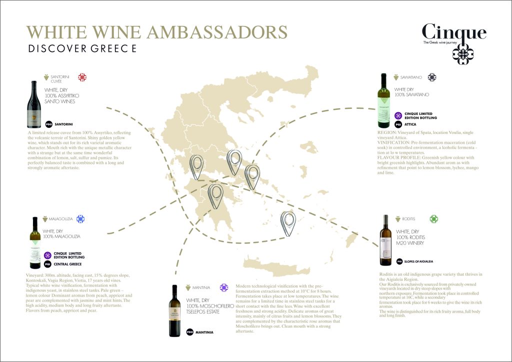 Cinque Wine Tasting Map WHITE WINE AMBASSADOR x5