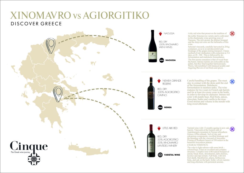 Cinque Wine Tasting Map Xinomavro VS Agiorgitiko x3