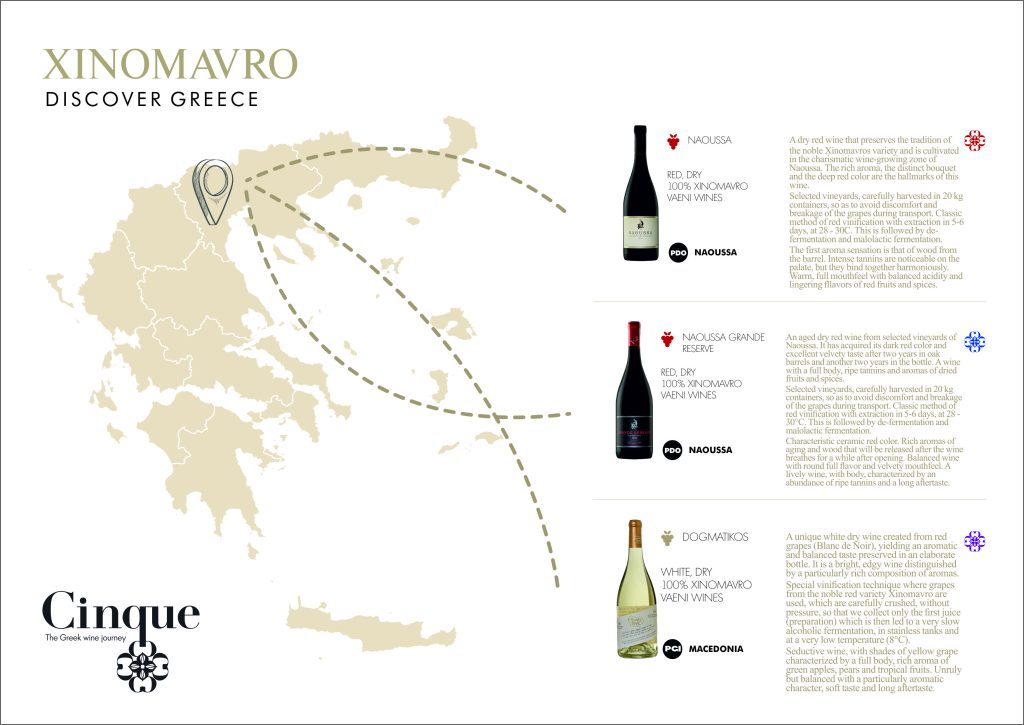 Cinque Wine Tasting Map Xinomavro x3