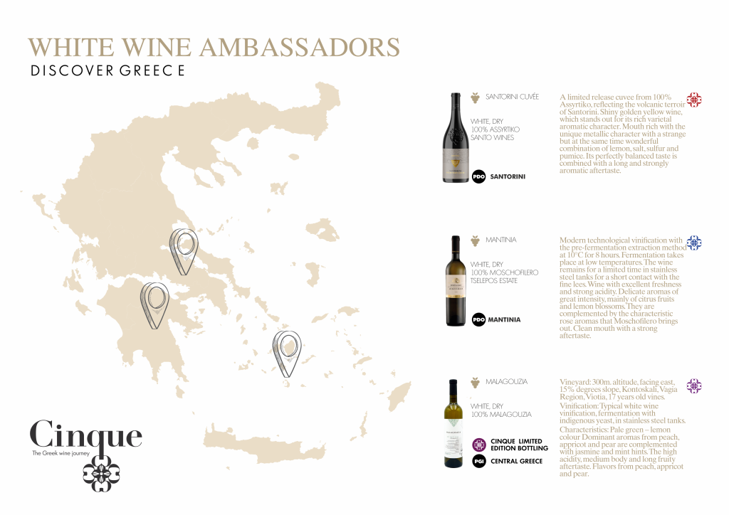 Cinque Wine Tasting White Wine Ambassadors